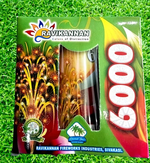 6000